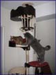 catmax_n